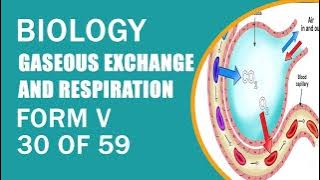 BIOLOGY FORM V GASEOUS EXCHANGE AND RESPIRATION 30 OF 59