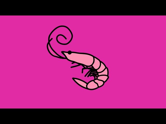 Kero Kero Bonito Flamingo Lyrics Genius Lyrics - roblox id songs shrimps