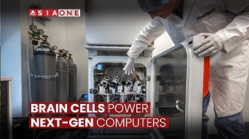 Biotech Revolution: Swiss Lab Grows Brain Cells for Computing | Asia One News