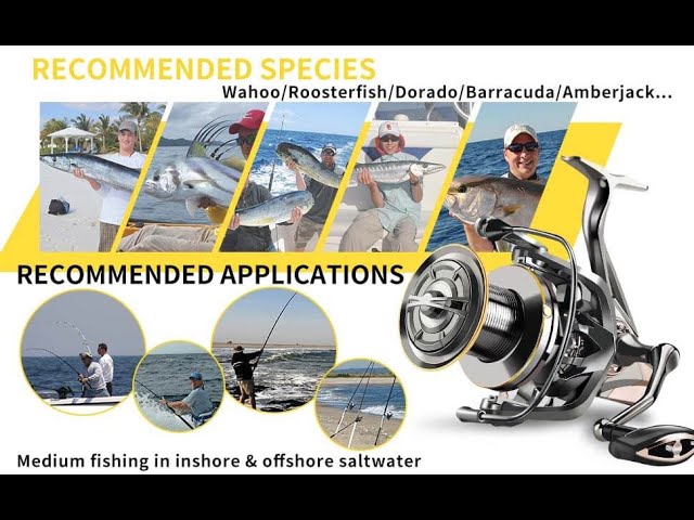 ✓ Catch More Fish With The 10 Best Spinning Fishing Reels of 2023! 