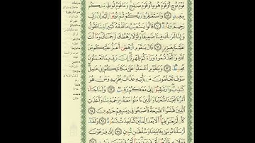 الورد اليومى..سورة هود من الاية 89 الى الاية 97 بصوت القارئ الشيخ ماهر المعيقلى   #ماهر_المعيقلي