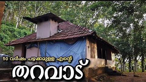 50 വർഷം പഴക്കമുള്ള ഞങ്ങളുടെ തറവാട് | Tharavad Vlogs | PAPAYA STORIES