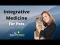 What is integrative veterinary medicine holistic pet care