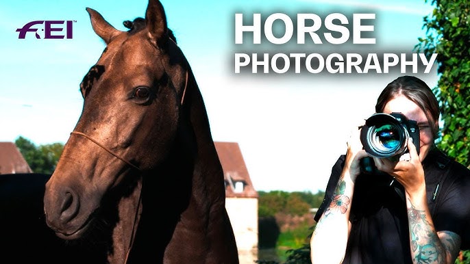 Horse Hair Brush Set for Photoshop - Live Demo 