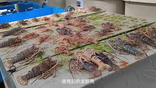 iRewards Aquaculture  - Taiwan Economic Deep Sea Water