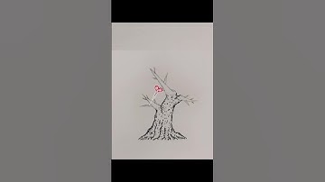 Kỹ Thuật Tạo Hình Cây Trực Lắc Đẹp #bonsai #caycanh #caycanhdep #xuhuong