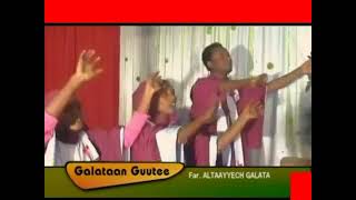 Far Altaayyech Galata Galataan Guutee 3 February 2021