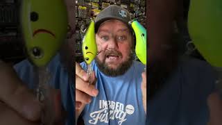 Summer Reaction Bait Colors