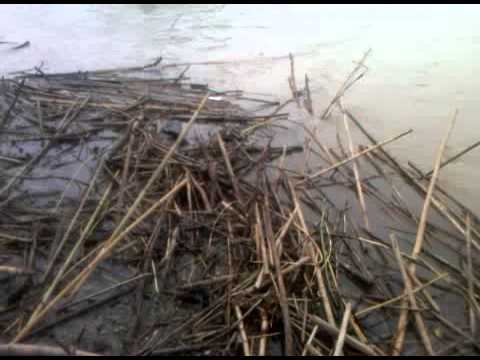 RAW VIDEO: Arroyo Colorado Flooding in Harlingen