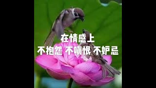 201905 在情感上不抱怨 不嗔恨 不妒忌51203