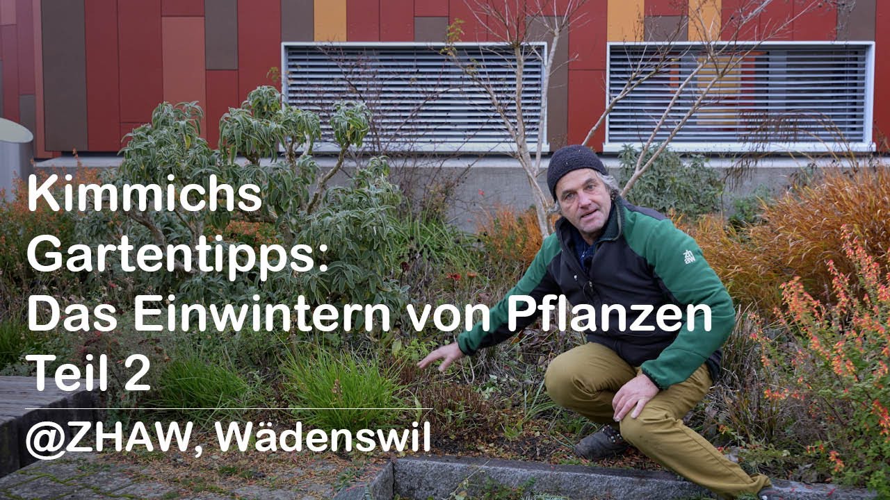 Kimmichs Gartentipps: Das Einwintern von Pflanzen Teil 2 @ZHAW, Wädenswil