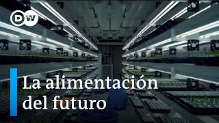 Soluciones para alimentar al mundo en el futuro