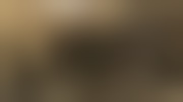 METAL GEAR ONLINE - WORLD PREMIERE TRAILER | KONAMI (ESRB)