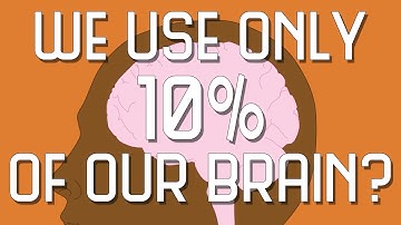 Do You Only Use 10% Of Your Brain?