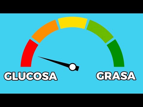 Video: ¿La grasa quema grasa?