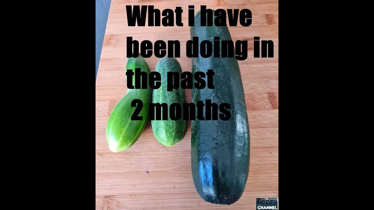 What i have been doing in the past 2 months - YouTube