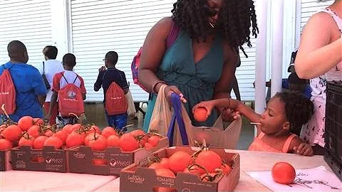 Feeding 43 Million Americans at Food Banks Each Year