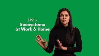 Ecosystems at Work and Home - Celebrating Allies | Sincerely Suruch