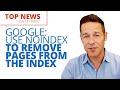 Google: Use NoIndex to Remove Pages From the Index |  Digital Marketing News