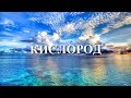 Артем Пивоваров - Кислород (Lyrics / Lyric Video)