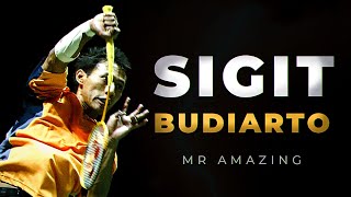 Mr. AMAZING - Sigit Budiarto