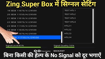 Signal Setting In Zing Set Top Box || No Signal Problem In Zing Set Top Box