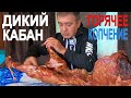 Мясо Дикого Кабана Горячего Копчения