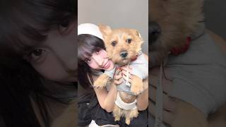 #부 만 바라바라봐 🐶#lookatme #트와이스 #TWICE #모모 #MOMO #BOO #WithYOUth❤‍🔥 #ONESPARK💥