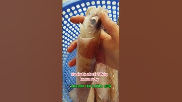 Mực ống em sale giá lẻ bằng sỉ lun cả nhà ơi | MINOS .COM.VN #minos #hảisảnminos #seafood #minos2