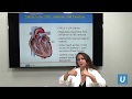 Treating Mitral Regurgitation with MitraClip Therapy | Marcie Calfon Press, MD | UCLAMDChat