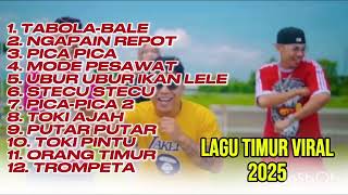 Download Lagu Lagu Timur Viral 2025 MP3