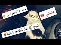 كيف تتعامل مع القطط الجديده ( حصلته بالشارع وقررت اخذه معي 😻) مره اليف ❤️ / Mohamed Vlog