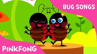 Hey, Ladybug | Bug Songs | Pinkfong Songs for Children