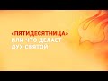 «Пятидесятница» или что делает Дух Святой» – епископ Рик Реннер (Богослужение  23.05.2021)