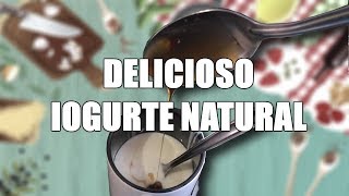 Como reproduzir iogurte natural em casa