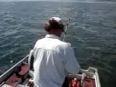 Randy Julius striper 33 pounder