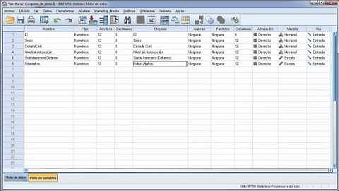 Importación y Edición de la Matriz de Datos