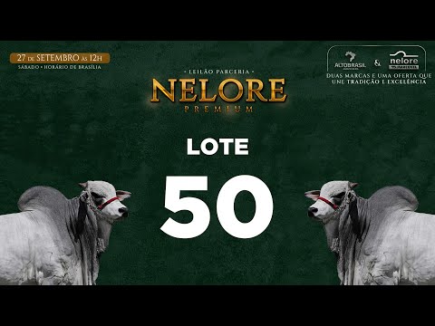 LOTE 50   MVEL 1791
