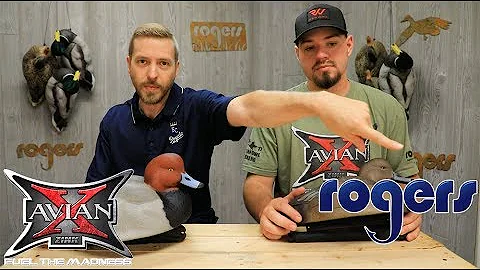 Avian-X Foam Filled Redhead Duck Decoys