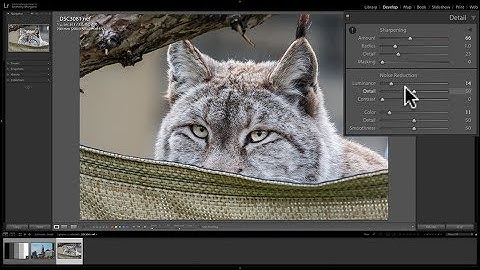 Mastering Lightroom Classic CC - 18: Sharpening & Noise Reduction