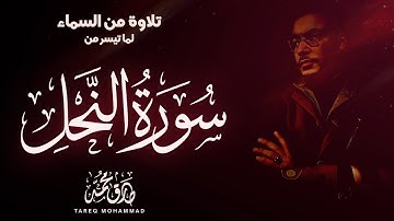 تلاوة من السماء || ما تيسر من سورة النحل || القارئ طارق محمد