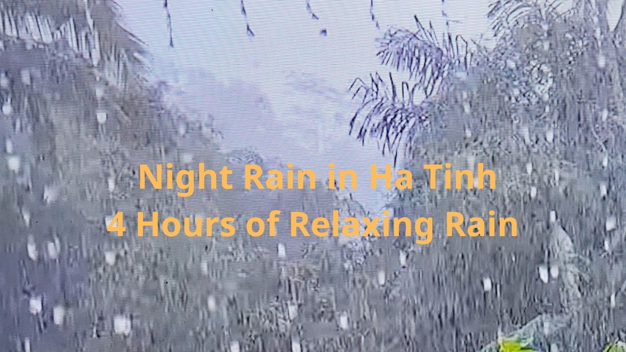 Authentic Night Rain in Ha Tinh Vietnam 4 Hours | Tiếng Mưa Đêm Hà Tĩnh Thu Âm Thật