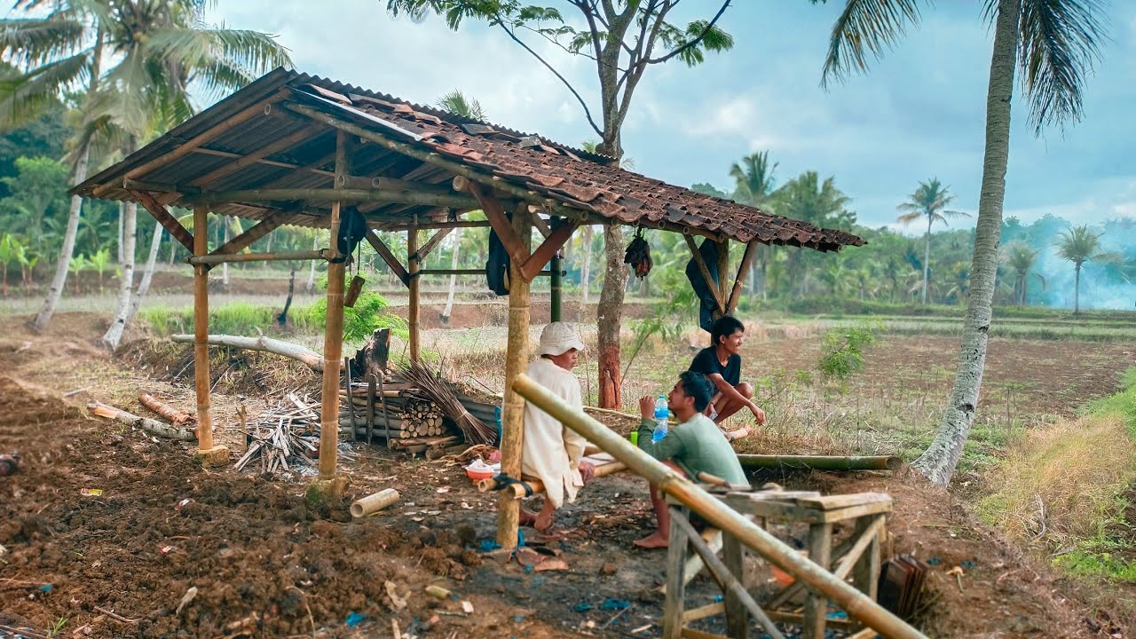 LAMA TAK TERLIHAT TERNYATA SEKARANG A RIZWAN LAGI SIBUK BERTANI DI LAHAN PESAWAHAN