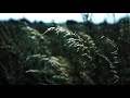 The Reaper Complete Series