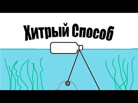 Как Быстро Узнать Есть Ли Рыба В Водоеме