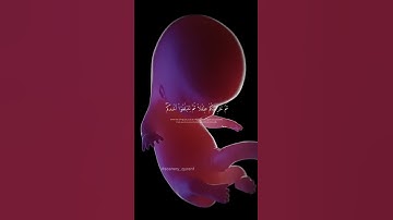 قرآن الكريم ٢٢ سبتمبر ٢٠٢٤