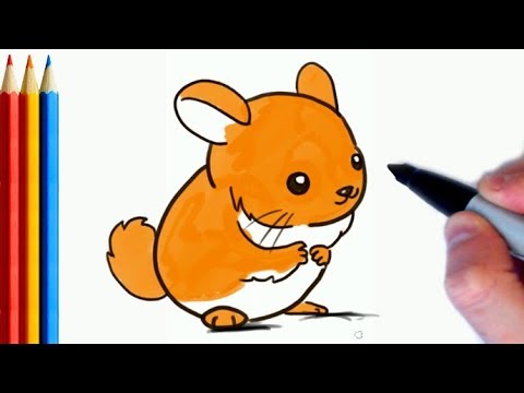 How to Draw a Chinchilla  HelloArtsy