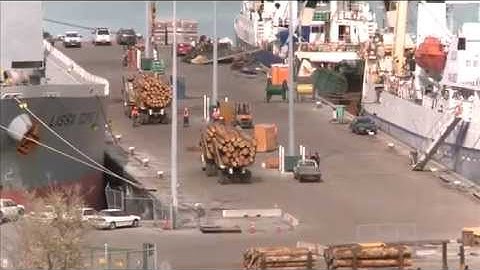 CTV News Story - Lyttelton Port Sentenced