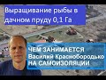 Выращивание рыбы в небольшом дачном пруду площадью 0,1Га