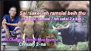 Sakei sum 6 vel a kah chu savawmin a lo hnuk sawndaih || Pu Challiana, Bairabi khua kawmna 2